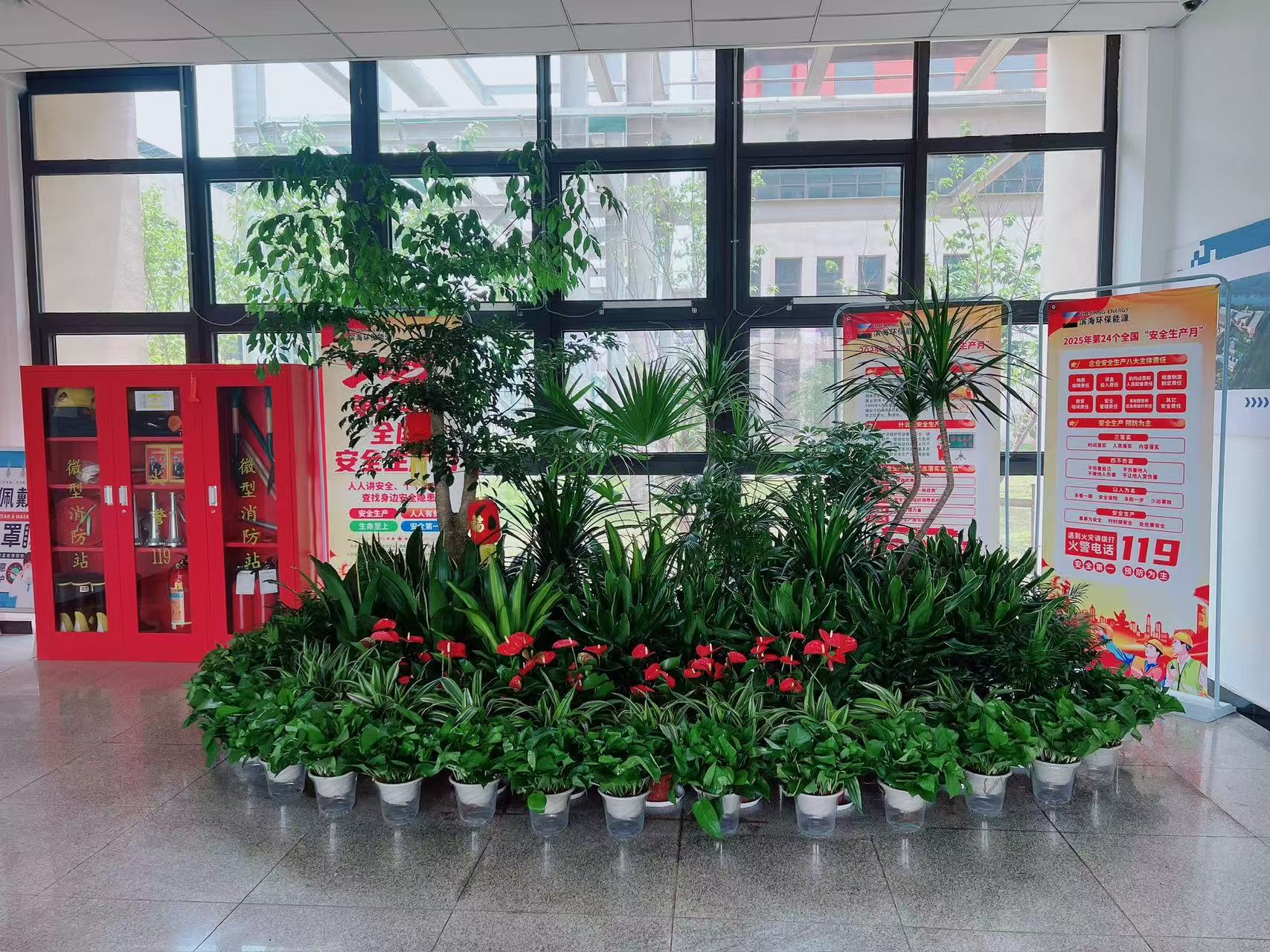 专业绿植租赁服务，宁波鄞州的绿色之选